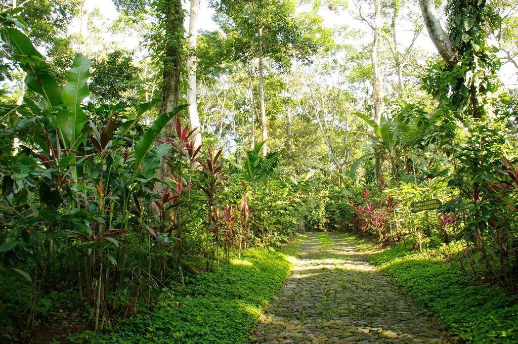 Takalik Maya Lodge Эль-Асинталь Экстерьер фото